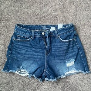 Time and Tru Dark Blue Jean Shorts